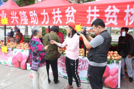 pp电子模拟器(试玩游戏)官方网站