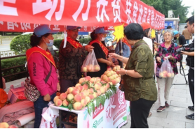 pp电子模拟器(试玩游戏)官方网站